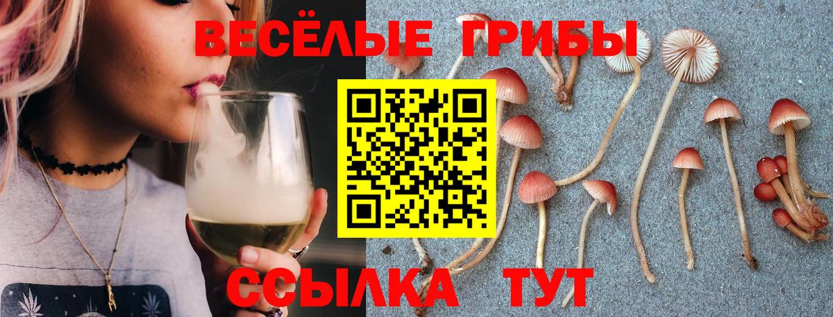 Псилоцибиновые грибы Cubensis Вышний Волочёк